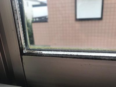 image0_6.jpeg